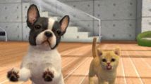 nintendogs + cats sur 3DS : le plein d'infos