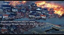 Catastrophe au Japon : Zynga (Farmville) propose des dons