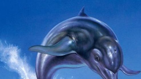 Les Licences Oubliées #12 : Ecco The Dolphin