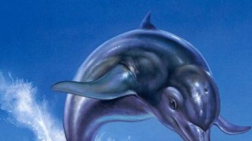 Les Licences Oubliées #12 : Ecco The Dolphin