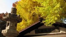 Let's Visit Tokyo #61 : Petite marche vers Yasukuni