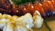 Let's Visit Tokyo #64 : Teppanyaki Fever II