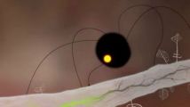 Amanita Design (Machinarium) : des news chaudes