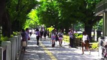 Let's Visit Tokyo #76 : Kitanomaru Koen & Kokyo Gaien