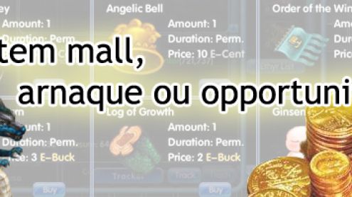 L'item mall, arnaque ou opportunité ?