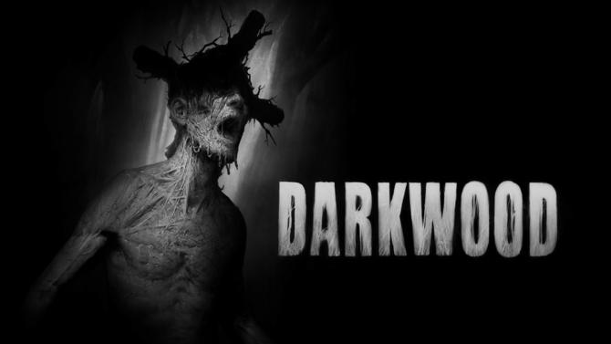 TEST de Darkwood sur Switch : Le Survival à l'état pur