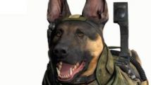 Battlefield répond à Call of Duty et son chien
