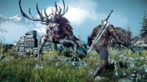 The Witcher 3 Wildhunt : une petite image