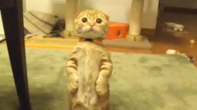 L'image du jour : quand on a un très mauvais respawn