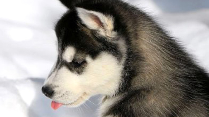 L'image du jour : très mauvais respawn