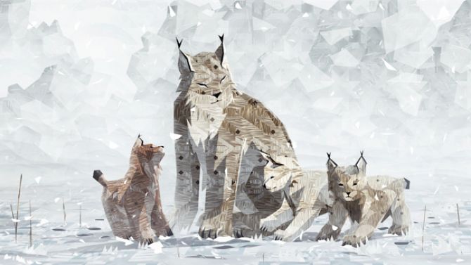 Shelter 2 couve une nouvelle date de sortie