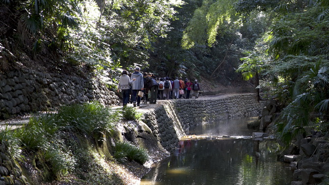 Tokyo Street View : découvrez la Todoroki Valley