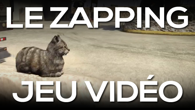 Le Zapping Jeu Vidéo : ne faites jamais peur à un chat dans GTA V