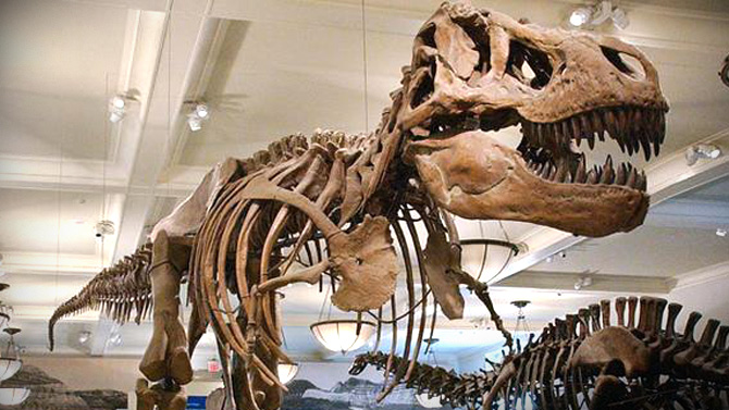 L'image du jour : les théories sur l'extinction des dinosaures balayées