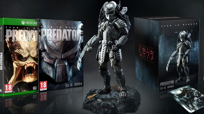 Ces collectors de jeux vidéo sont magnifiques... et fakes