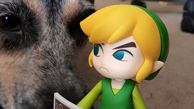 L'image du jour : fallait pas chercher Link