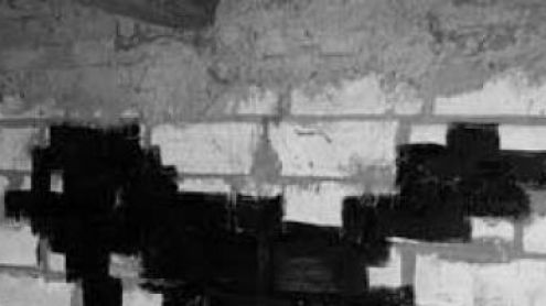 Des pixels et des gabians