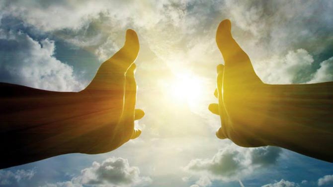 L'image du jour : Quand ton chat a une quête secondaire pour toi