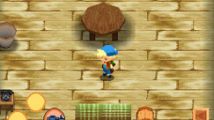 Test : Harvest Moon DS (DS)