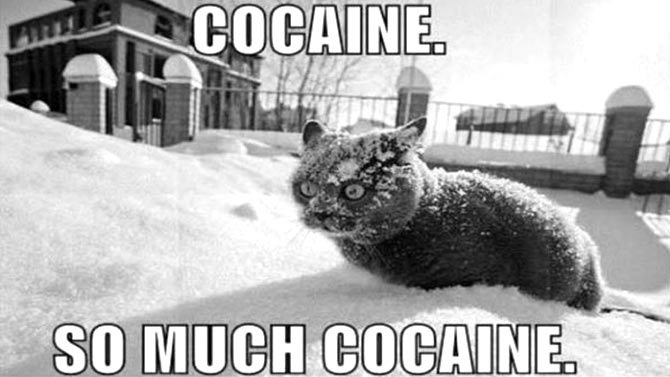 L'image du jour : La drogue du 21e siècle vue par un artiste de talent