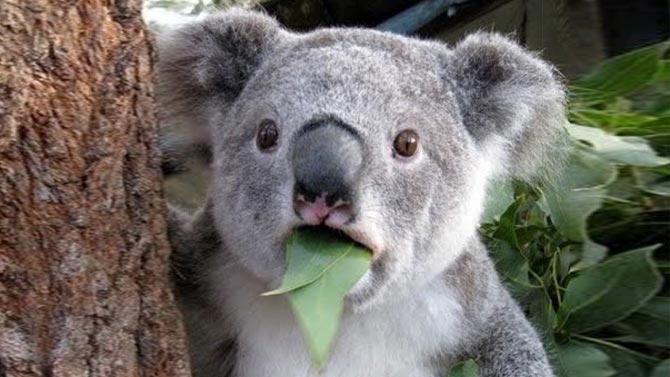 L'image du jour : Le trailer le plus catastrophique de l'histoire du Jeu vidéo