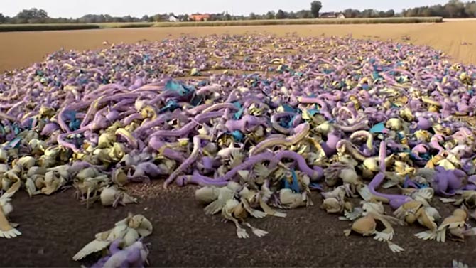 L'image du jour : Comment les Pokémon de Pokémon GO sont largués dans la nature