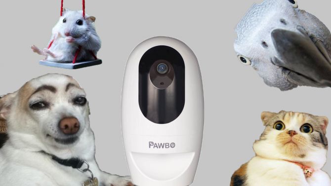 IFA 2016 : Acer dévoile une caméra pour les animaux de compagnie