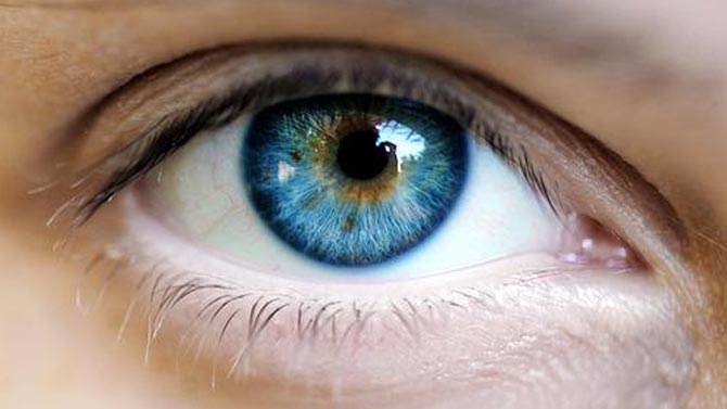 L'image du jour : Le dernier regard d'un homme avant de se...