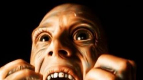 Comment fonctionne la peur ?