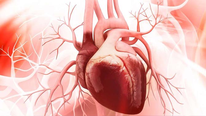 L'image du jour : La peur du smartphone perdu