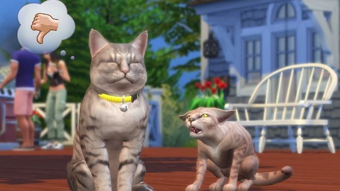 Gamescom : The Sims 4 Cats and Dogs dévoilé en vidéo