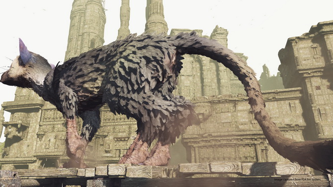 The Last Guardian : Une démo PSVR arrive la semaine prochaine