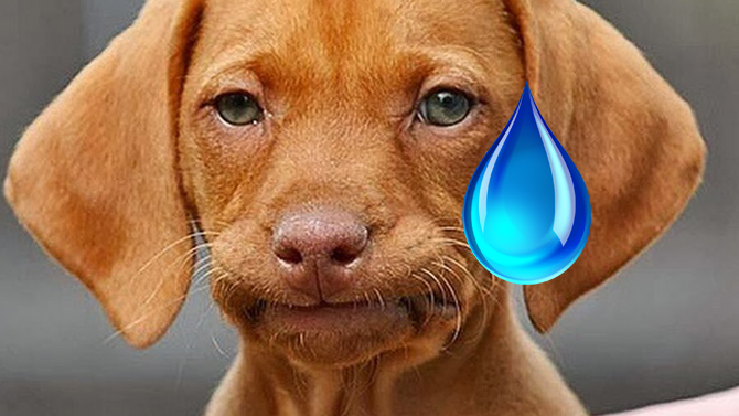 L'image du jour : La plus grosse frustration quand on joue en ligne