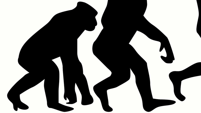 L'image du jour : Non, l'évolution de l'humanité n'a pas eu lieu