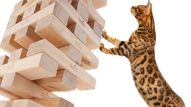L'image du jour : Jouer aux jeux vidéo c'est bien, jouer au Jenga avec son chat c'est mieux