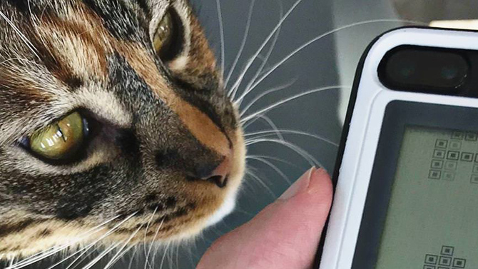 L'image du jour : Une coque Game Boy qui tue