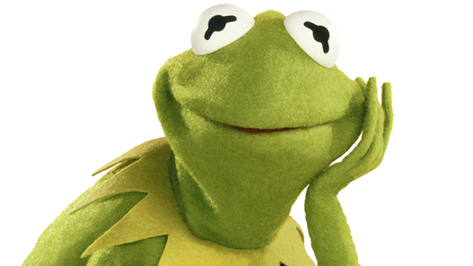 L'image du jour : Aucune pitié pour ce genre d'énergumène