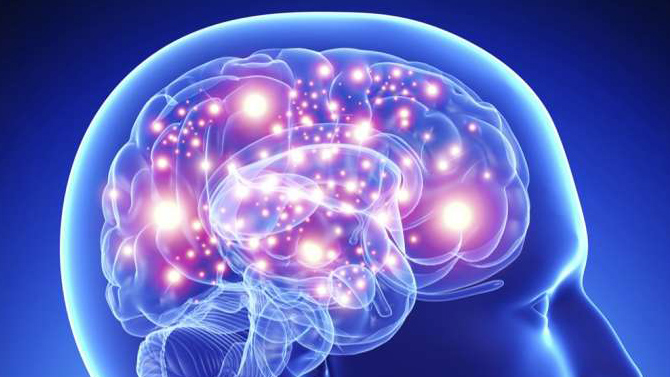 L'image du jour : Quand un gamer utilise toutes les fonctions cognitives de son cerveau