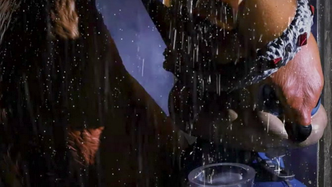 Conker : Une statuette à réserver bientôt se tease en vidéo