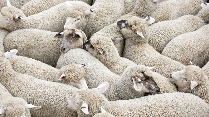 SEGA demande aux gens de se préparer à "quelque chose de sexy"