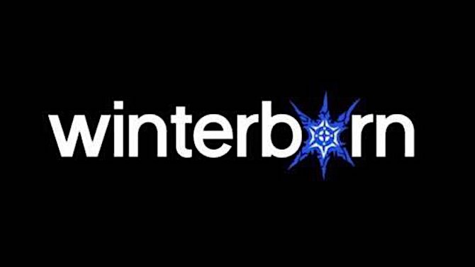 Des anciens d'Infinity Ward créent un nouveau studio, Winterborn Games