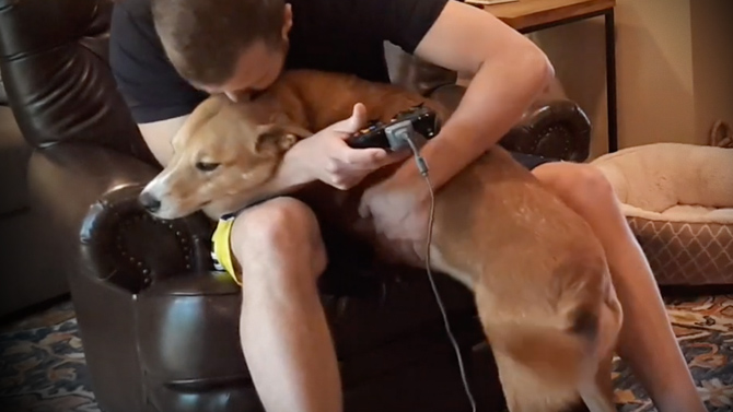 L'image du jour : Une histoire de manque d'affection