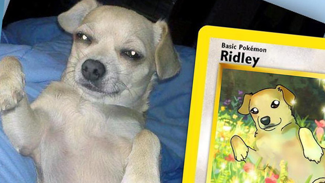 L'image du jour : Transformez votre animal en Pokémon grâce à cette artiste