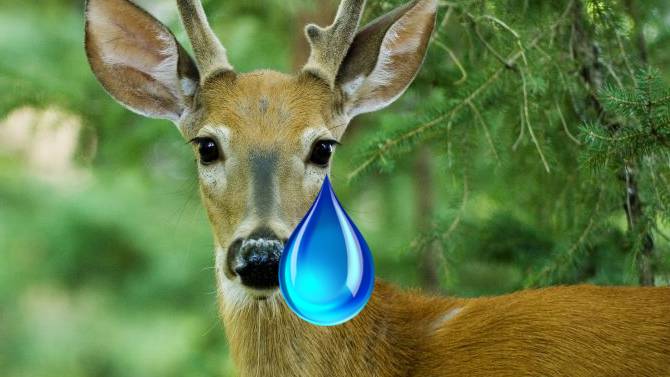 L'image du jour : Un Père Noël pas très respectueux du bien-être animal dans Just Cause