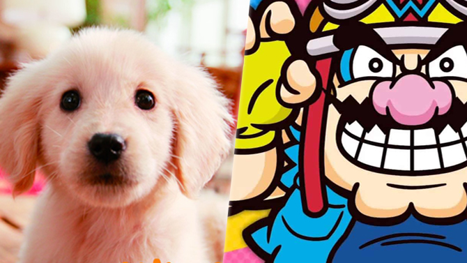 Nintendo : Shuntaro Furukawa veut voir plus de licences 3DS sur Switch