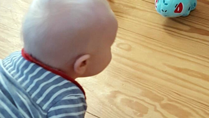 L'image du jour : Un premier choix très difficile pour ce petit bonhomme