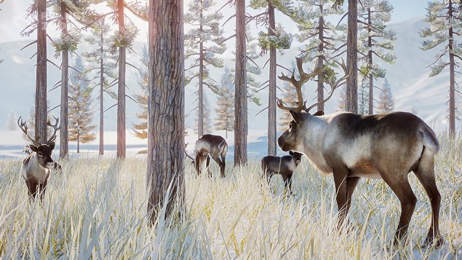 Planet Zoo prend froid et dévoile le Pack Arctique