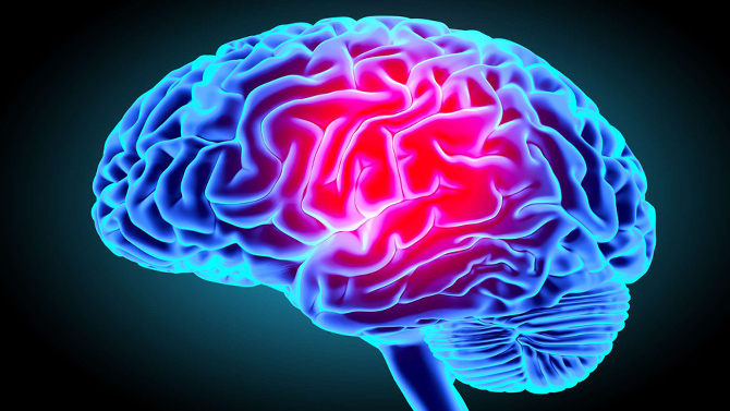 L'image du jour : La cartographie de notre cerveau quand on joue à un FPS