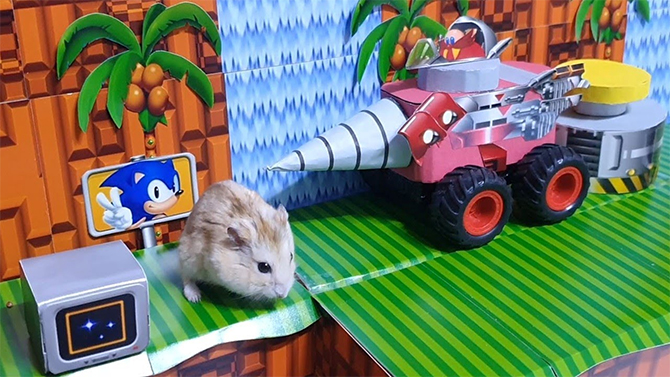Ils recréent un niveau de Sonic 2... pour leur hamster, la vidéo