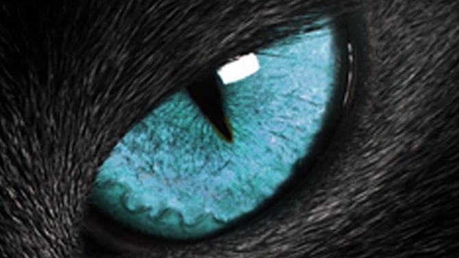 L'image du jour : Ce Boss très relou qu'il faut vaincre pour pouvoir continuer à jouer